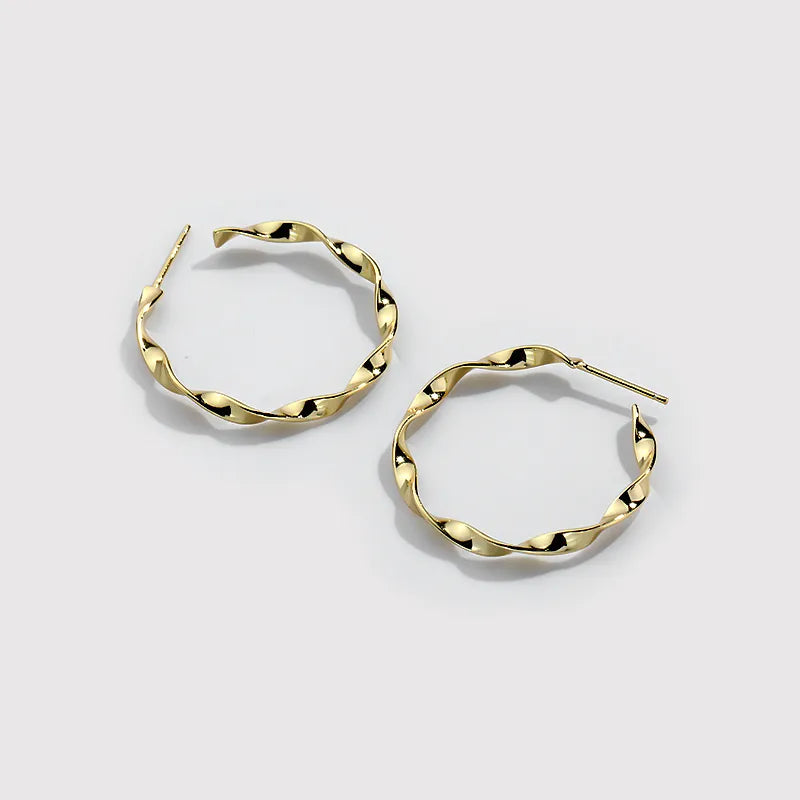 Hip Hop Twisted Earrings