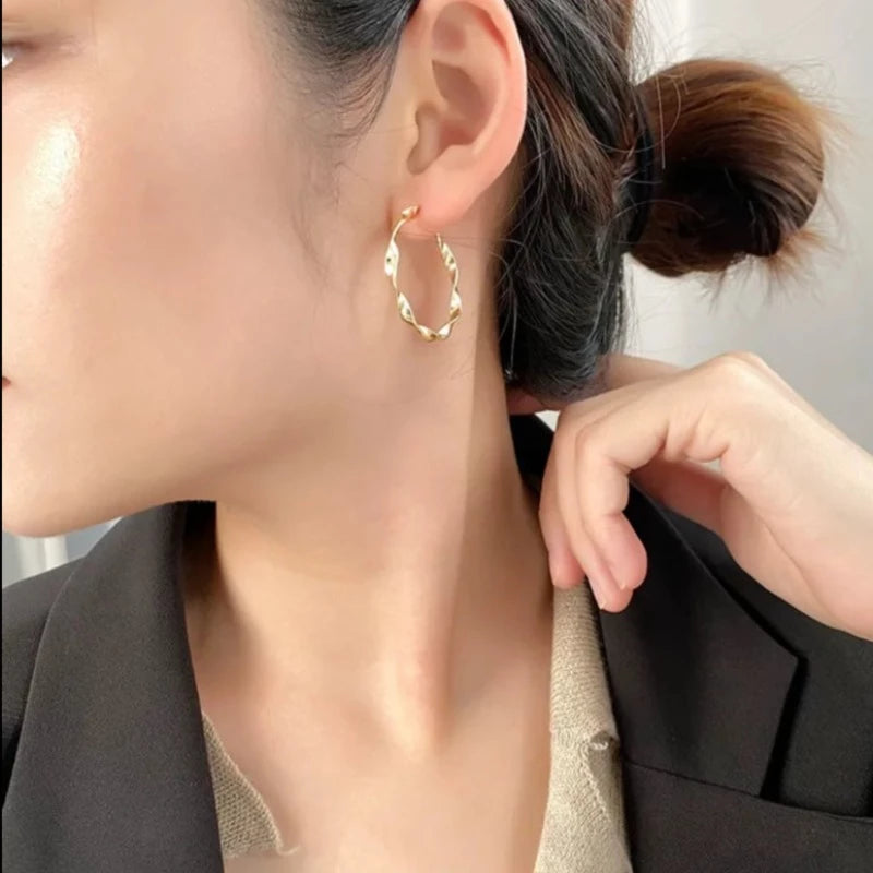 Hip Hop Twisted Earrings