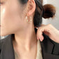 Hip Hop Twisted Earrings