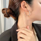 Hip Hop Twisted Earrings